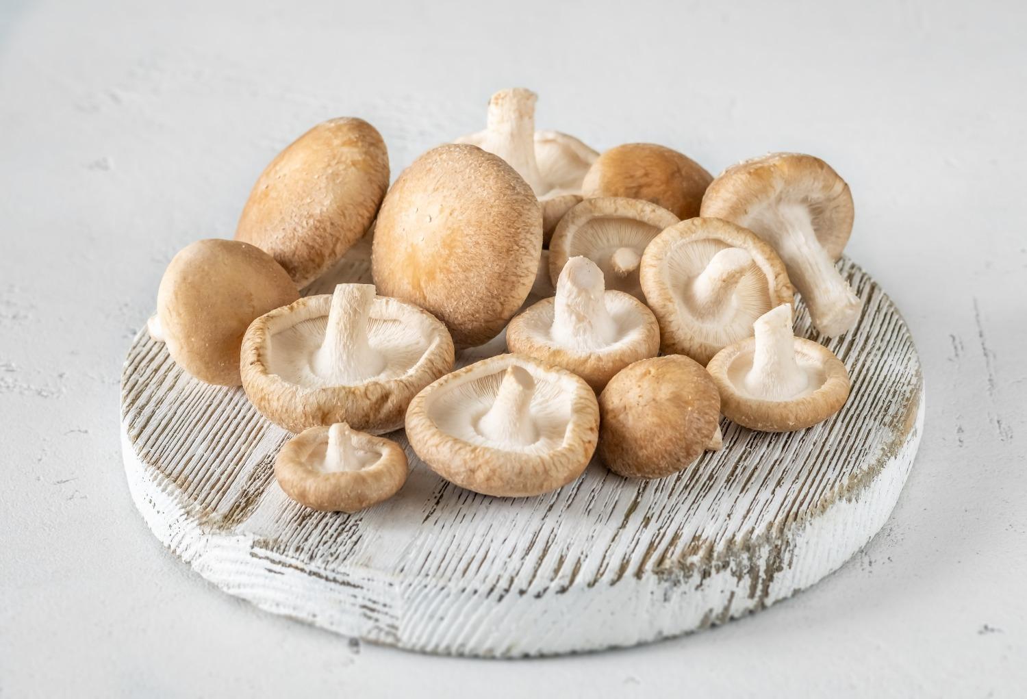 Shiitake Mushroom: A Delicious and Healthy Discovery