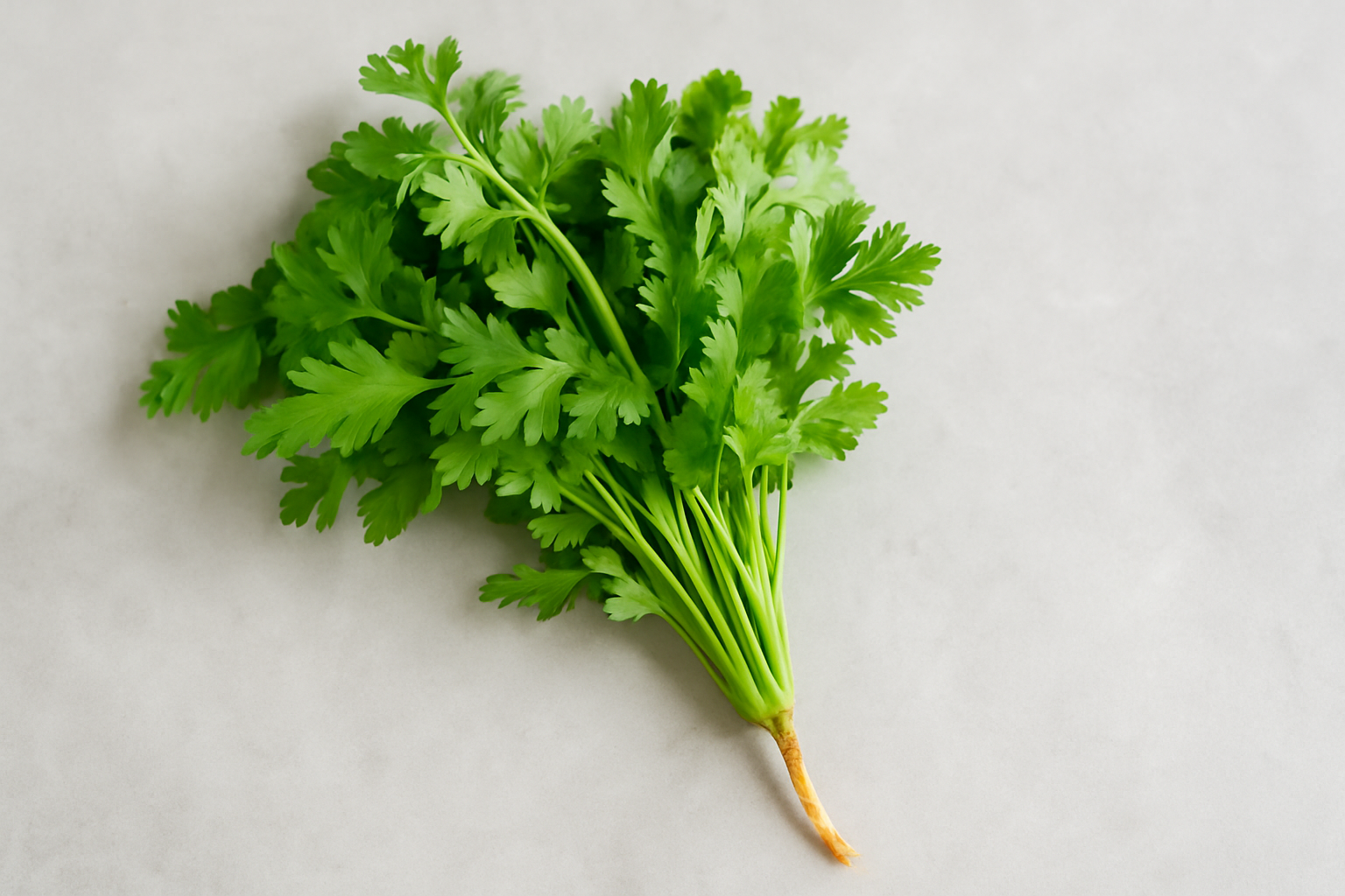 How to Use Coriander: Leaves, Seeds, and Easy Cooking Ideas