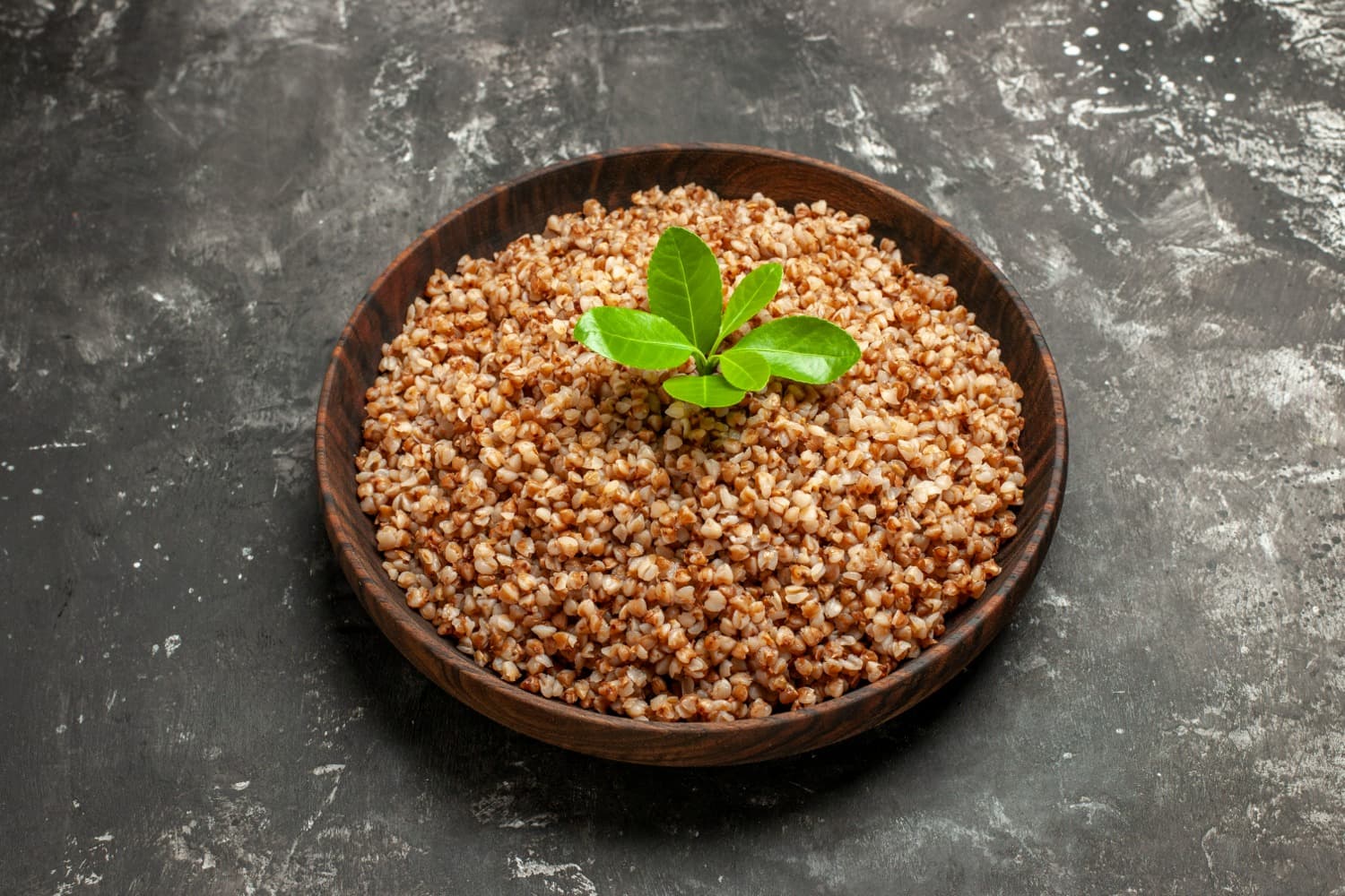 Gastronomi Tarihi